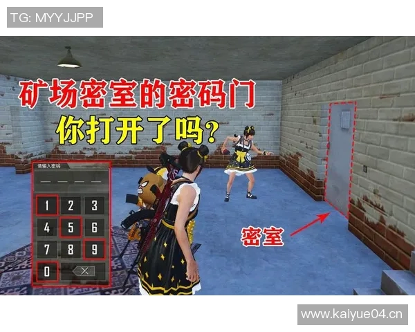 深入探讨和平精英成功背后的秘密与杨强的独特见解